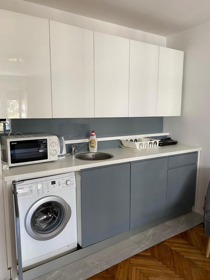 Apartment Silver Belgrad Dış mekan fotoğraf
